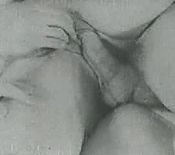 fucking hell art adult hose art amy scott porn